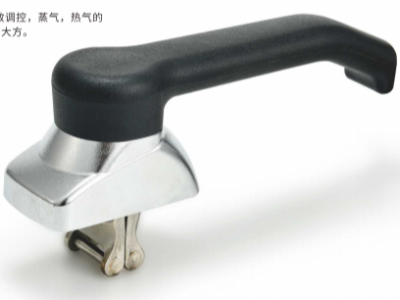 Steam oven latch C2
